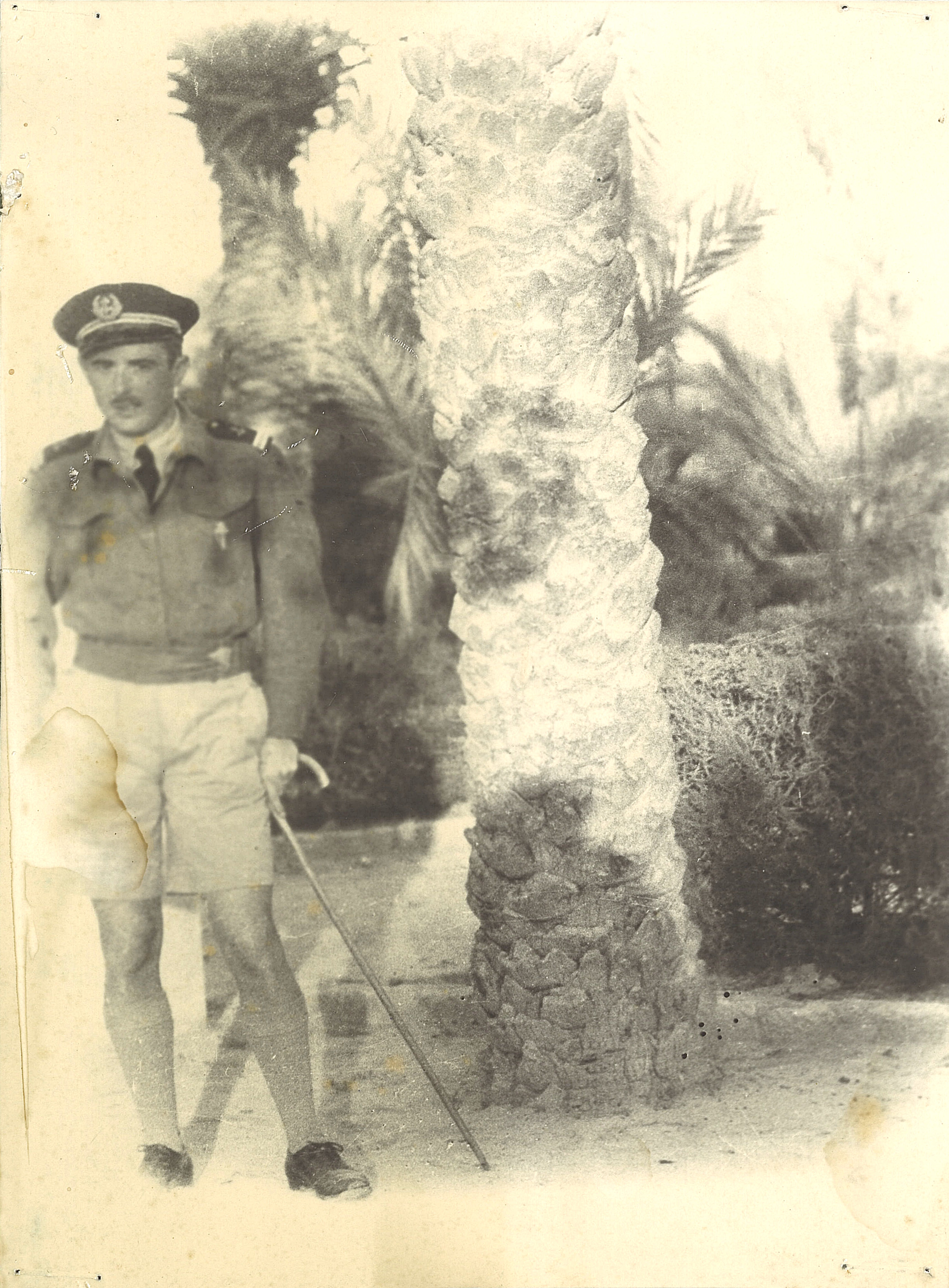 Photo de profil de BRASSEUR